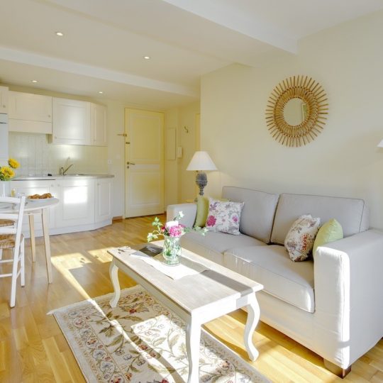 5 Star holiday rentals on the French Rivera - Living area