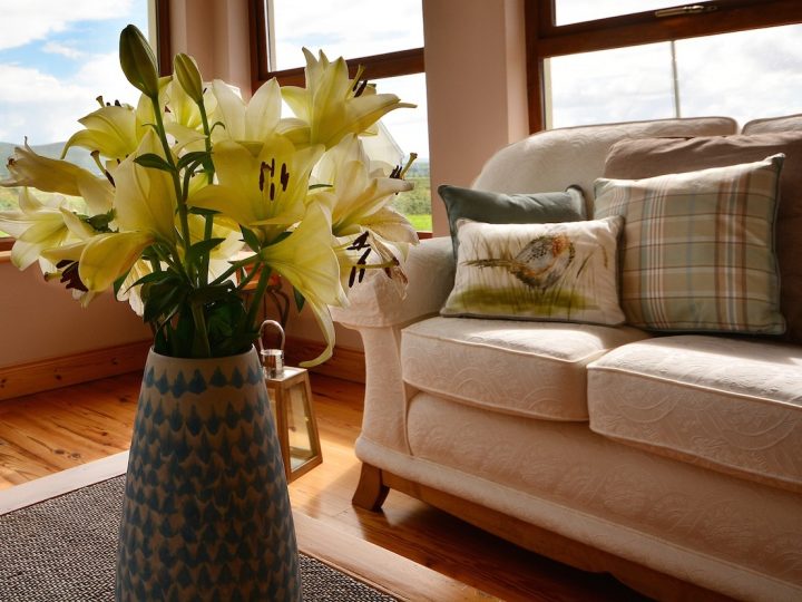 Maisons de vacances Kerry - Fleurs en vase en gros plan
