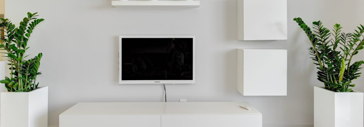 Holiday lets Nice - TV unit