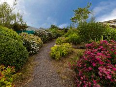Holiday houses Wild Atlantic Way - Garden