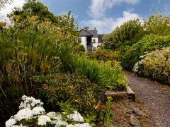 Holiday cottages Wild Atlantic Way - Garden