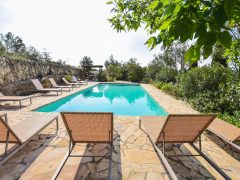 Holiday rentals Ibiza - Swimming pool and sun loungers