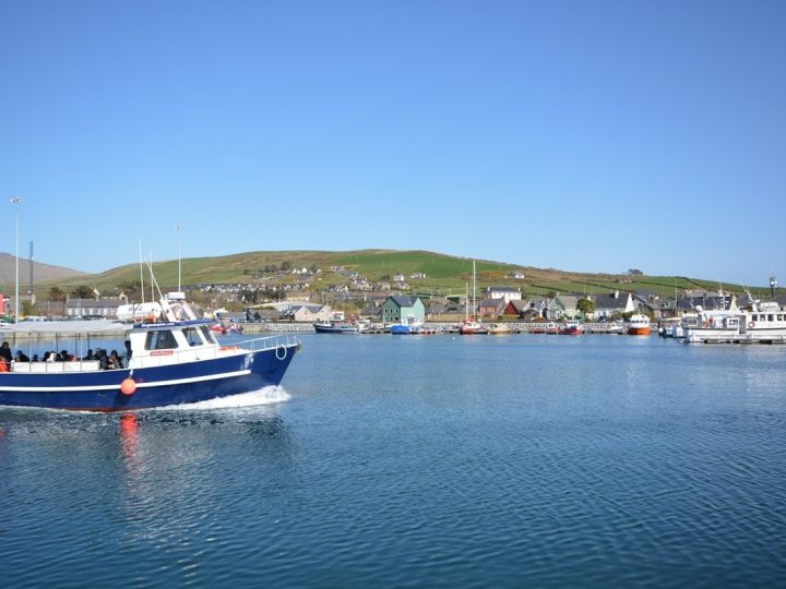 Holiday rentals Kerry - Dingle Harbour