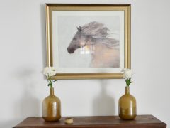 Chalets de vacances Kerry - Photo de cheval sur le mur