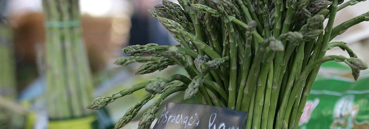 Holiday Villas Nice - Asparagus close up