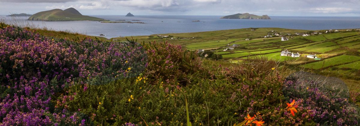 Holiday rentals Dingle - Blasket Island view