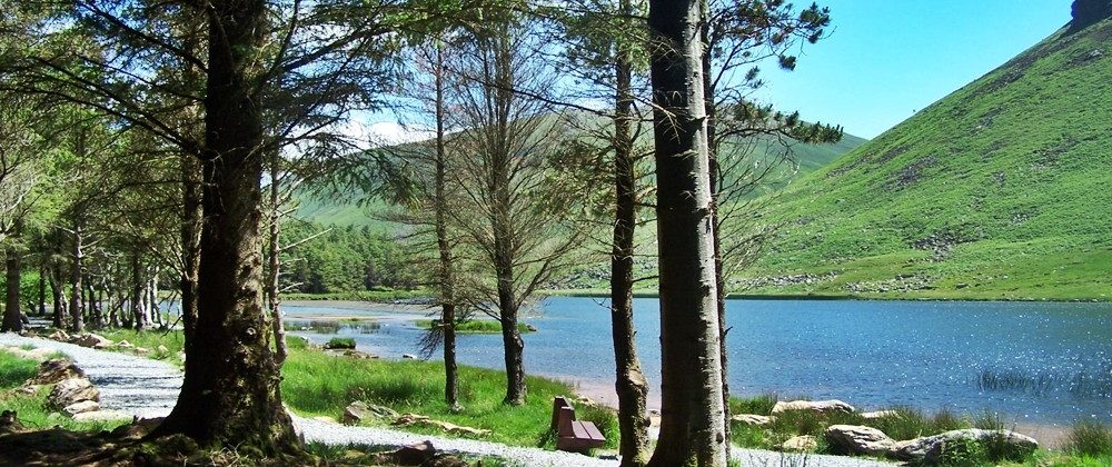 Holiday houses Dingle - Glentannasig Forest