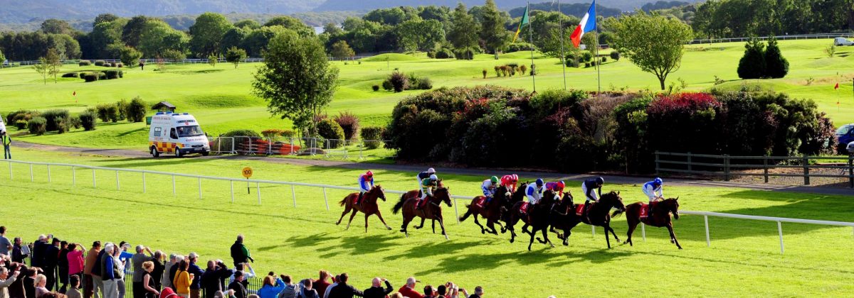 Holiday cottages Ireland - Horse racing festival
