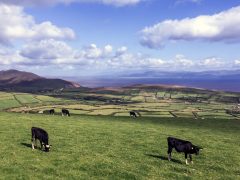 Holiday cottages Kerry - Panoramic view