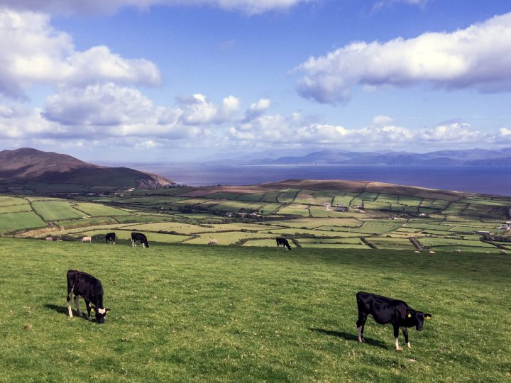 Holiday cottages Kerry - Panoramic view