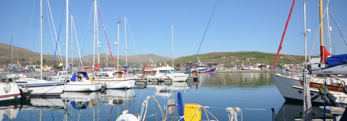 Holiday houses Kerry - Dingle Harbour