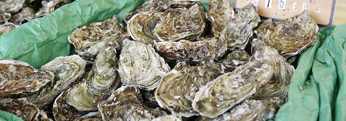 Exclusive holiday houses on the French Rivera - Fish market oysters