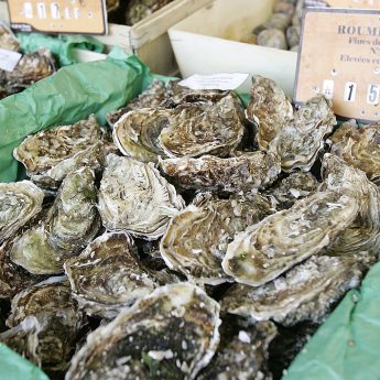 Exclusive holiday houses on the French Rivera - Fish market oysters