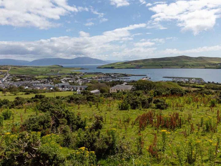 Holiday rentals Dingle - Dingle town view