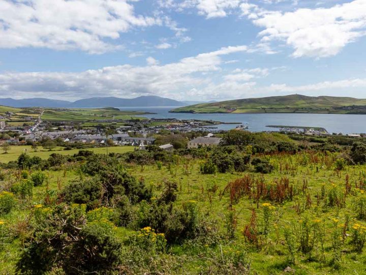 Holiday homes Dingle - Dingle view