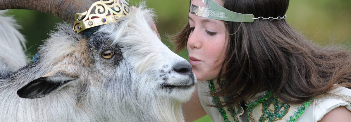 Holiday rentals Dingle - Girl kissing goat