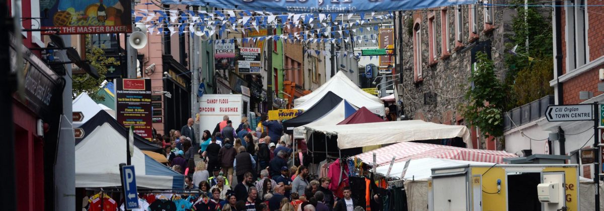 Holiday cottages Kerry - Puck fair