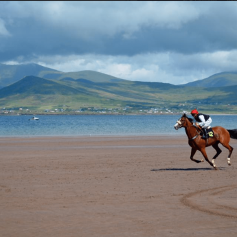 Holiday Letting on the Wild Atlantic Way - Beach horse racing