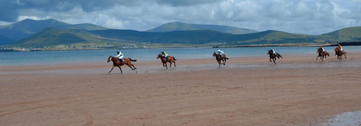 Holiday Letting on the Wild Atlantic Way - Beach horse racing