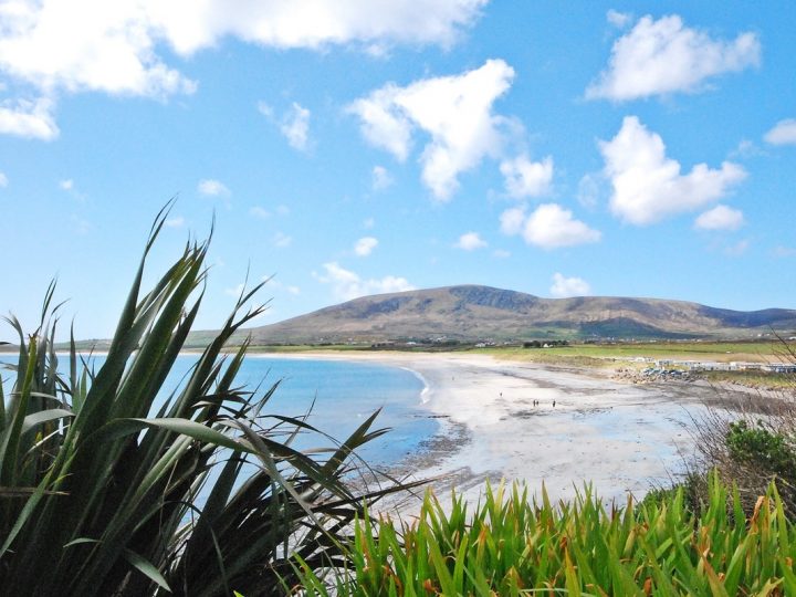 Holiday Lets on the Wild Atlantic Way - Ventry beach