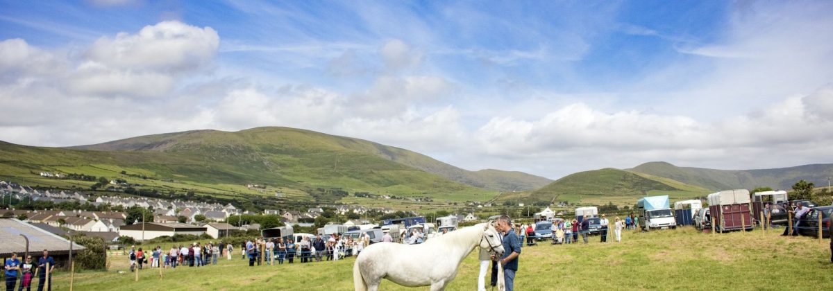 Holiday cottages Dingle - agriculture show