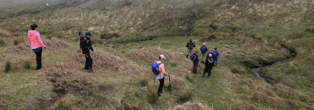 Holiday rentals Dingle - Cloghane mountain walk