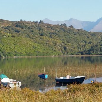 Holiday cottages Dingle - Caragh Lake