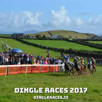 Exclusive holiday cottages Kerry - Dingle horse racing