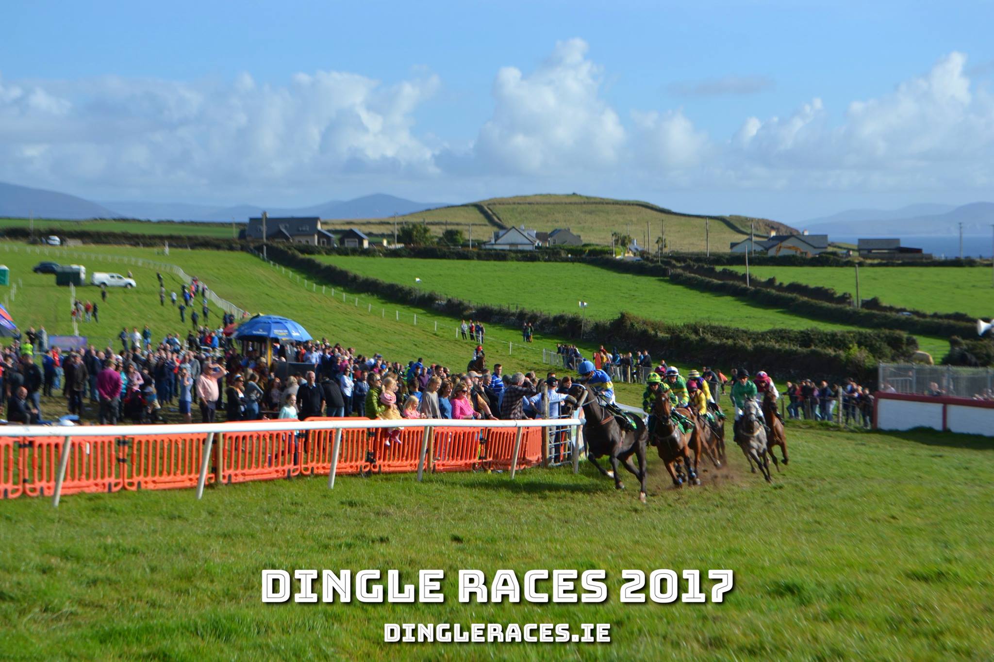 Dingle Races Stay YNA