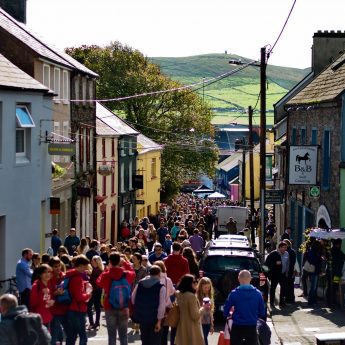 Holiday houses Dingle - Food Festival street