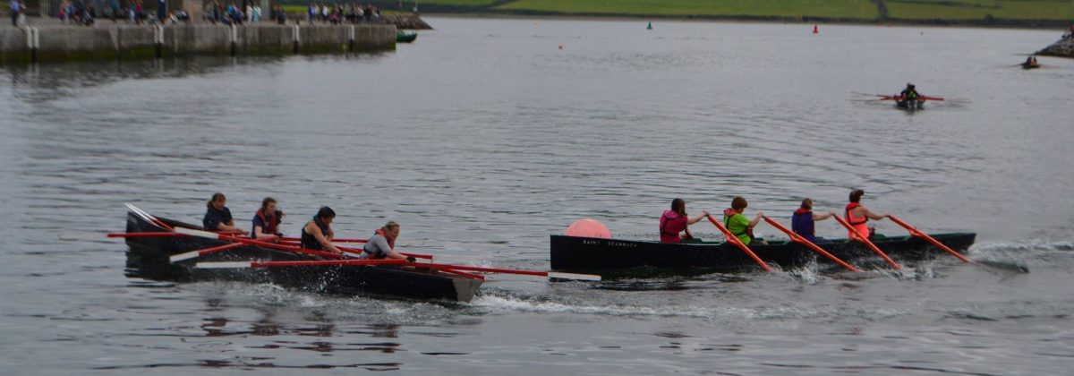 Holiday cottages Wild Atlantic Way - Dingle Regatta