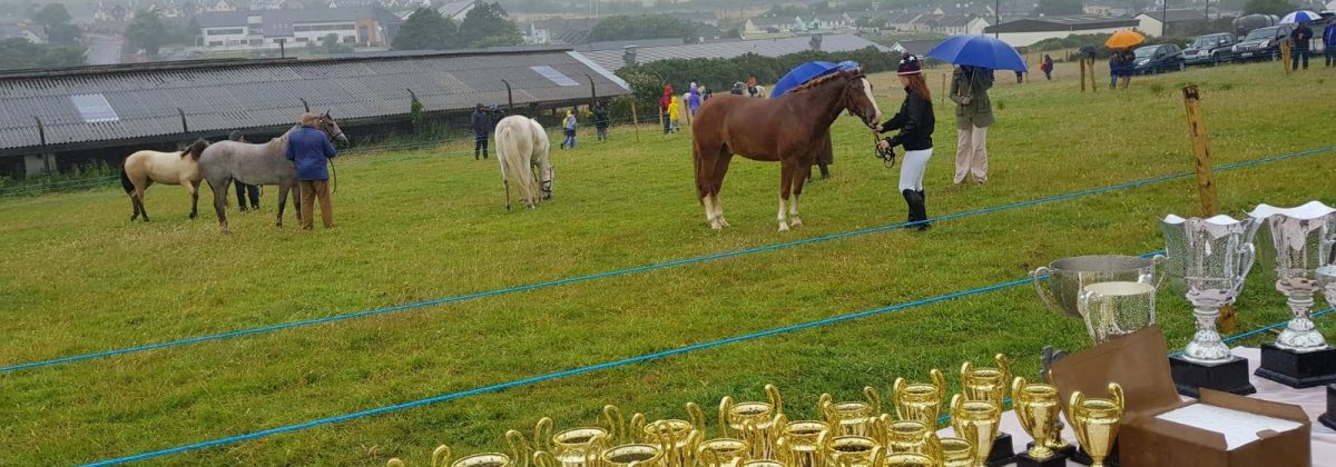 Holiday cottages Kerry - agriculture show