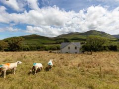 Exclusive holiday cottages Kerry - Mountain view with sheep