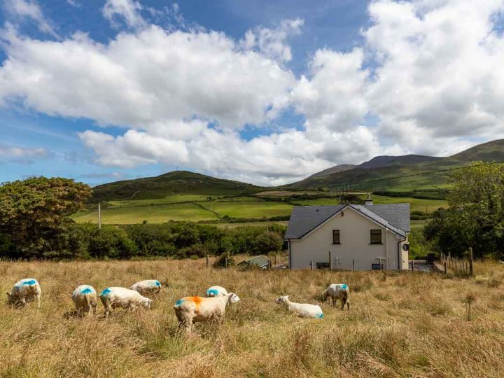 Exclusive holiday rentals on the Wild Atlantic Way - Mountain View