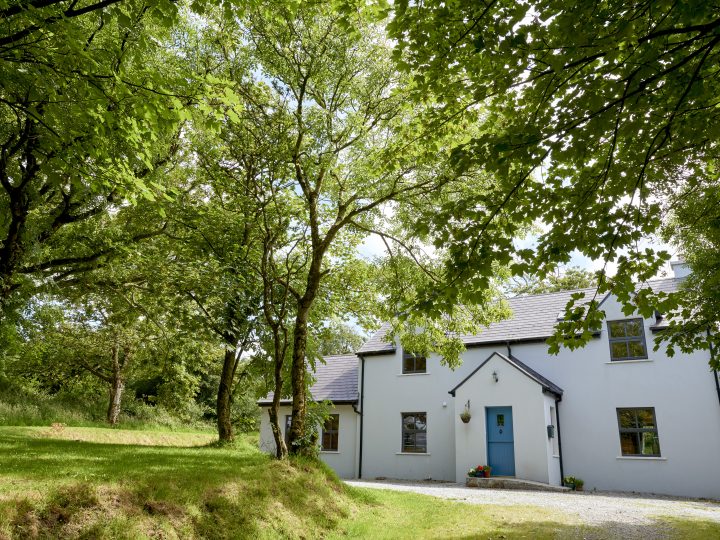 Oak tree exterior garden