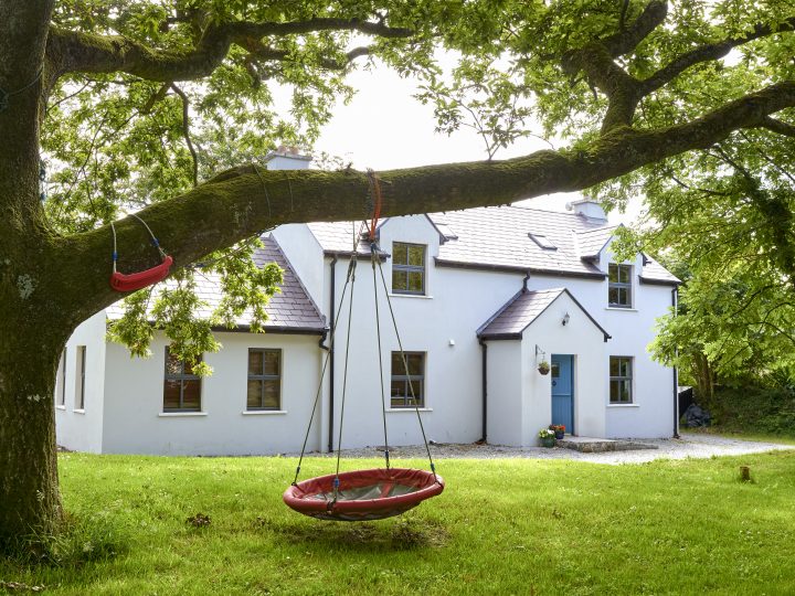 Oak tree exterior garden