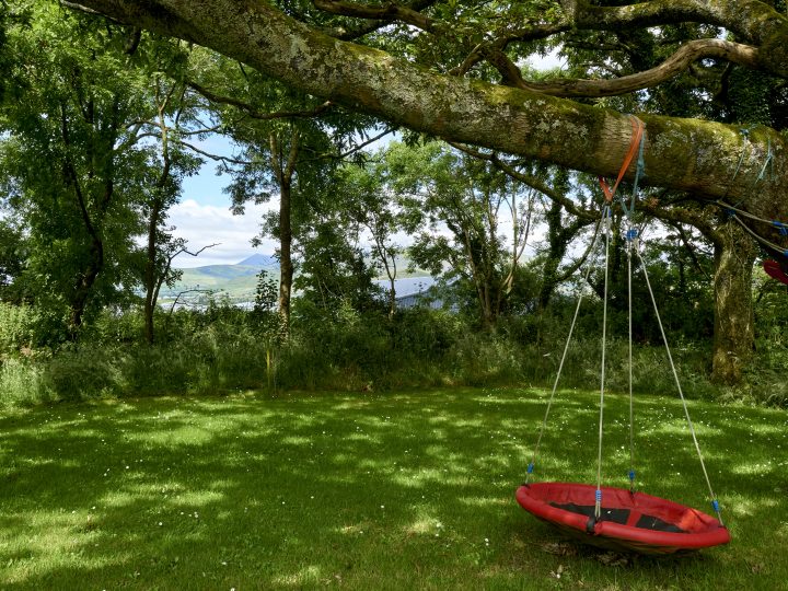 Oak tree exterior garden